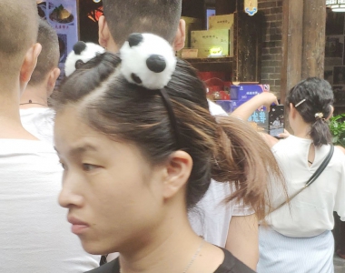 可爱的小熊猫