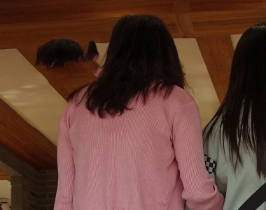 街拍粉红色长裙美女图片
